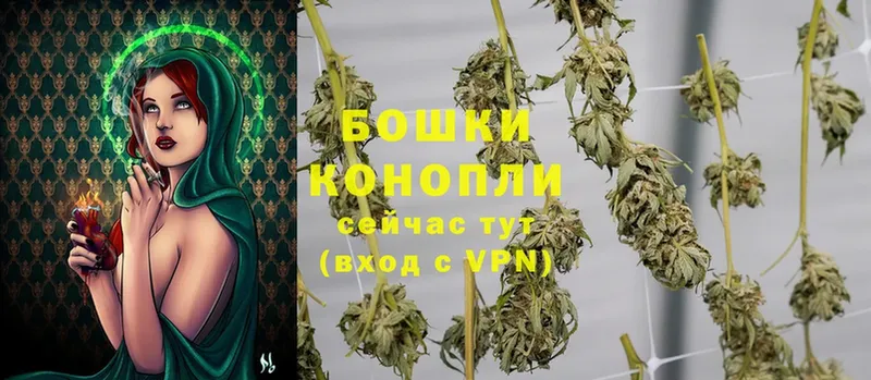 где можно купить   Камешково  МАРИХУАНА THC 21% 